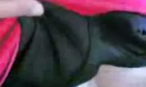 Teini ilmainen porno anaali